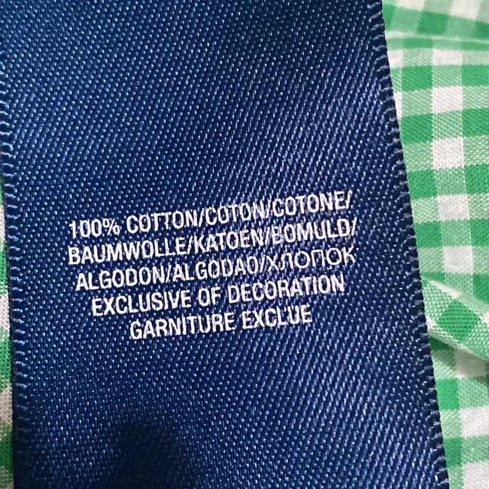 Ralph Lauren Green White Gingham Button-Down Shirt - Boys